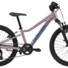 2022 Cannondale Kids Trail 20 Mountain Bike in Lavender